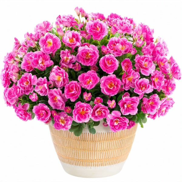Künstliche Blüten Topfpflanze 50 cm Textil Kunststoff Pink Dekorativ